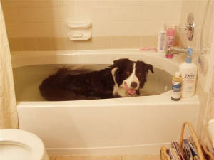 inthetub.jpg