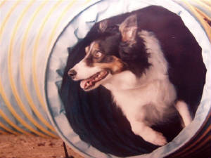 sophiecomingoutofthetunnel.jpg